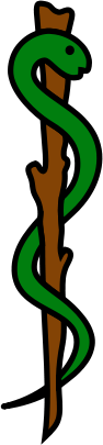 Bilde fra Wikimedia Commons. 